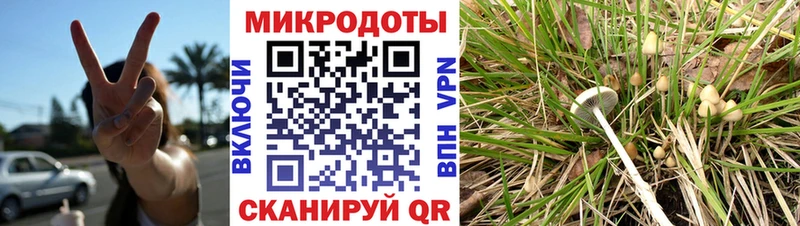 купить наркотик  Кстово  Псилоцибиновые грибы Psilocybe 